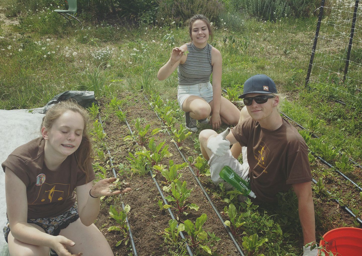 Community Garden